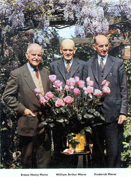 The Morse brothers: Ernest, William and Frederick